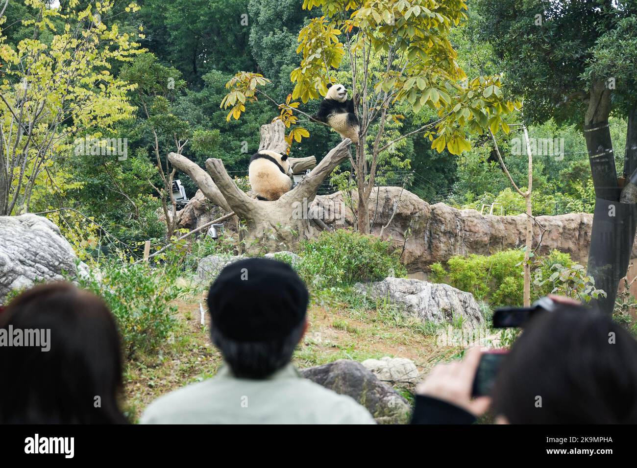 Tokyo, Japan. 28th Oct, 2022. Visitors watch giant pandas at the Ueno ...