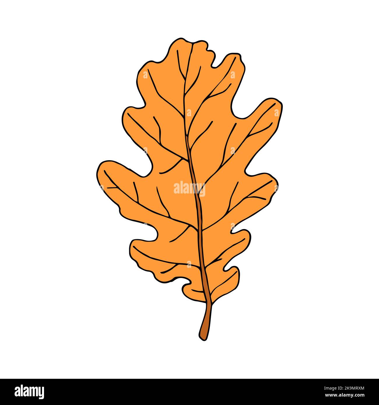 Fallen oak leaf in cartoon style. Vector illustration isolated on white background Stock Vector