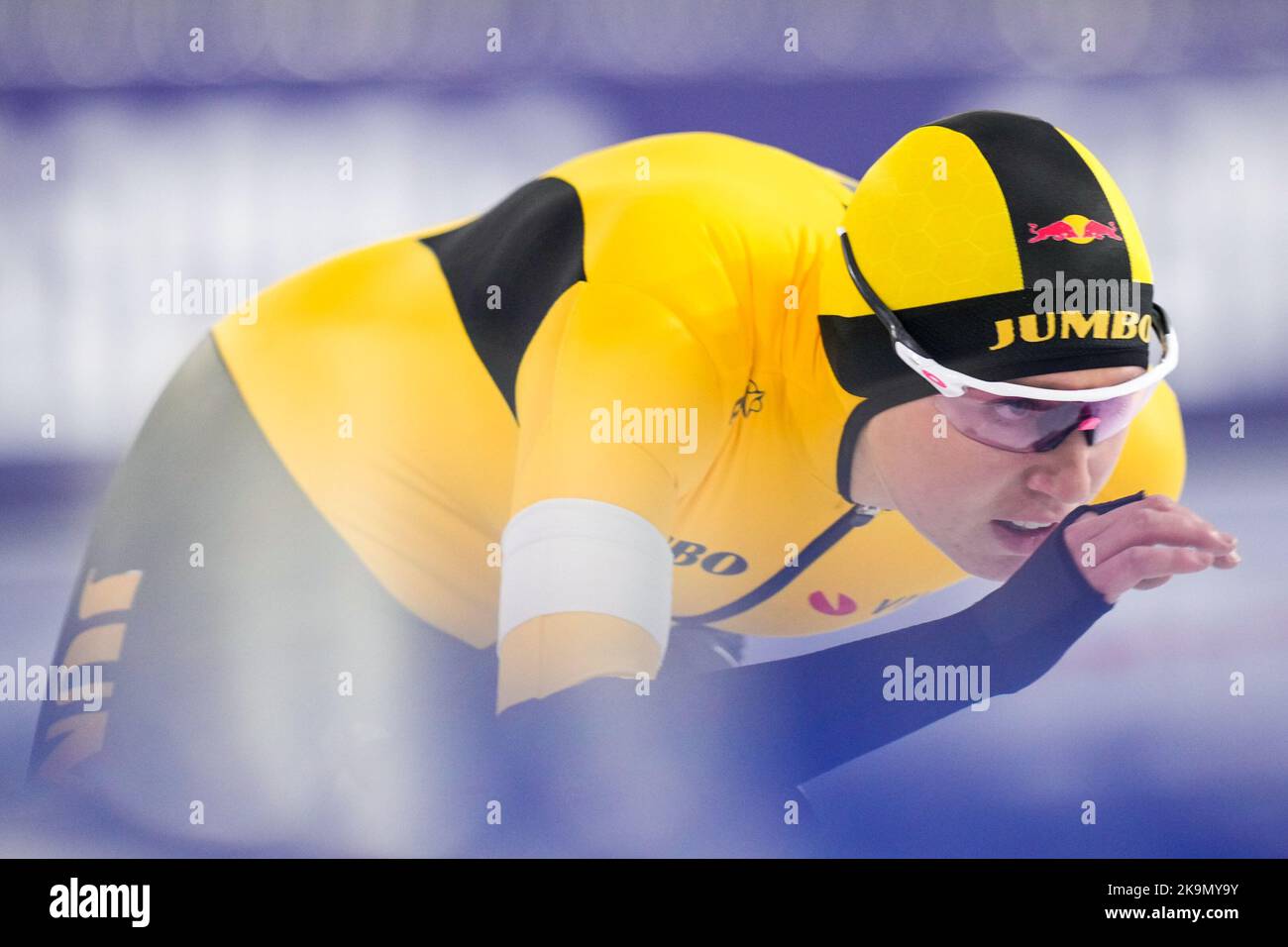 Merel conijn hi-res stock photography and images - Alamy