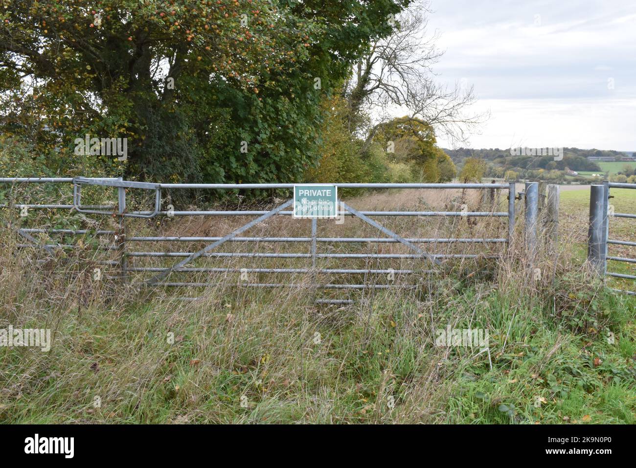 Private No Public Right Of Way Farm Gate, Crab Apples In The Background Below Gallows Down West Berkshire, Nature Taking Over. Stock Photo
