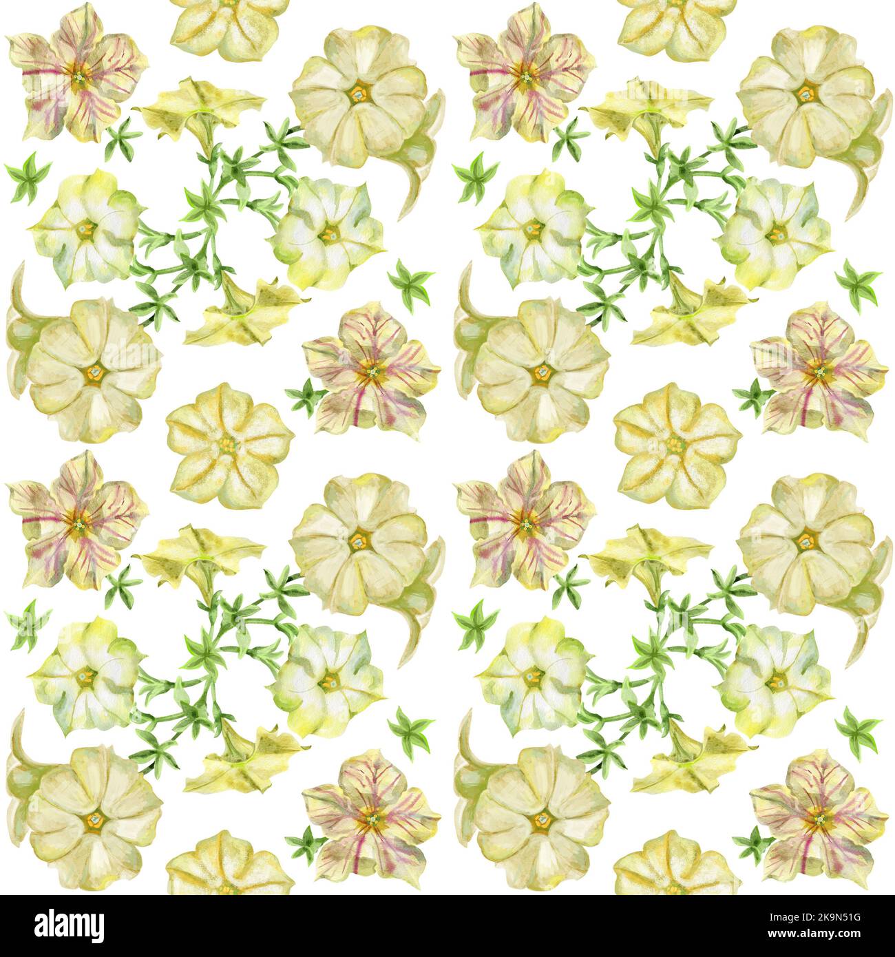 Seamless pattern with petunia flowers, design element. Floral composition can be used for wedding, baby shower, mothers day, valentines day cards, inv Stock Photo