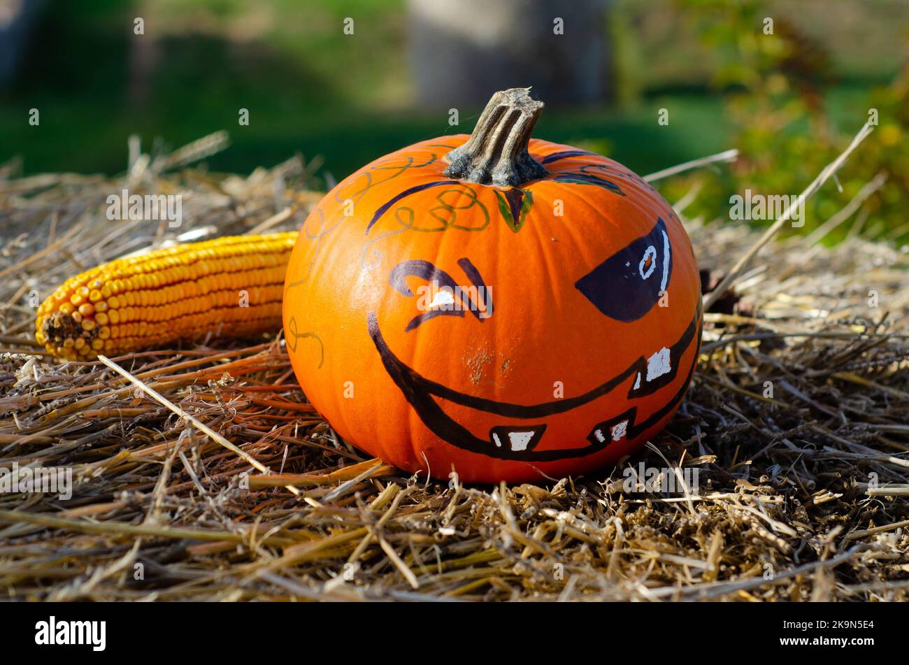 Halloween pumpkin in the hay. scary jack head. western american tradition. copy space. Stock Photo