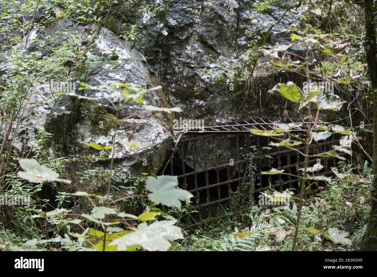 William pengelly cave studies centre hires stock photography and images Alamy
