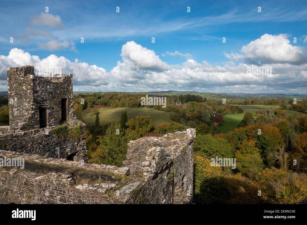 Dinefwr Castle is a ruined castle overlooking the River Tywi near the town of Llandeilo, Carmarthenshire, Wales. It lies on a ridge on the northern ba Stock Photo