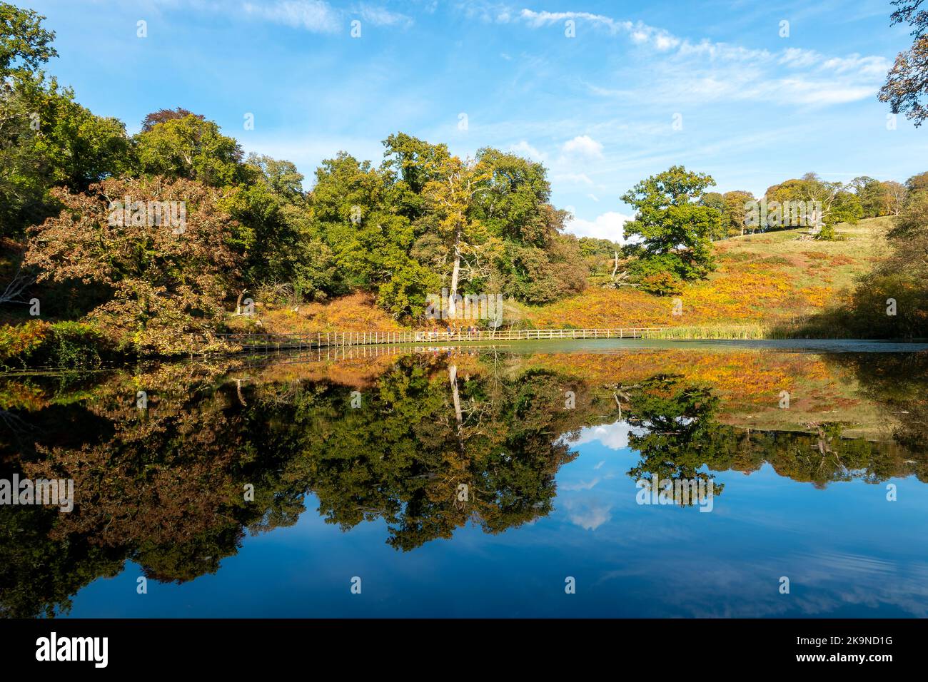A highly reflective pond in Autumn with beautiful autumnal colours. Stock Photo