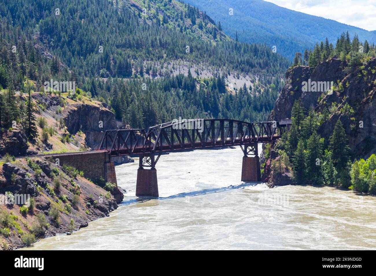 Birds and animals pet shop Stock Photo Alamy