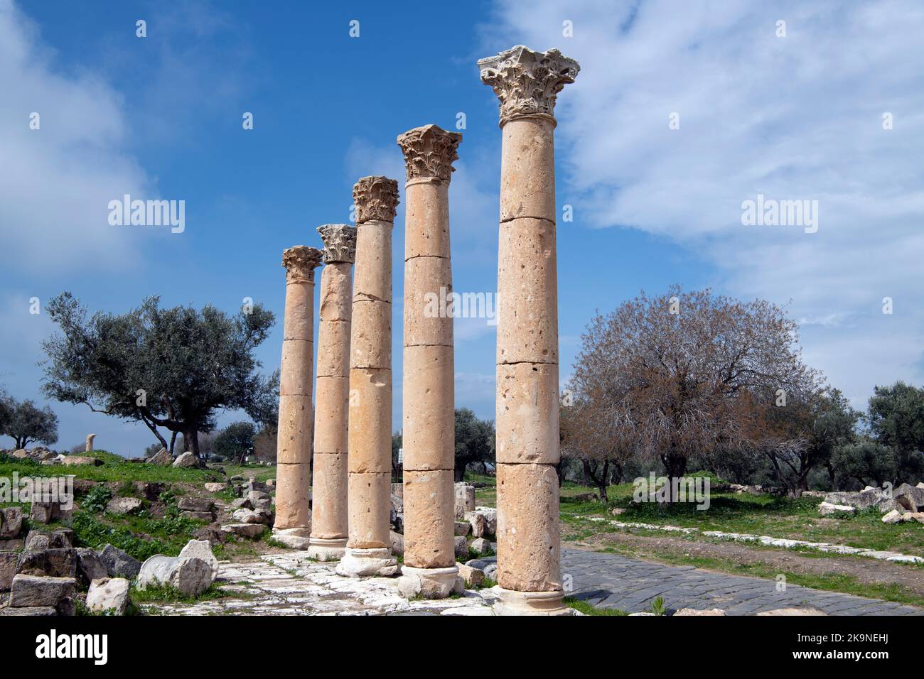 Roman columns Umm Qais (Gadara) Jordan 2 Stock Photo