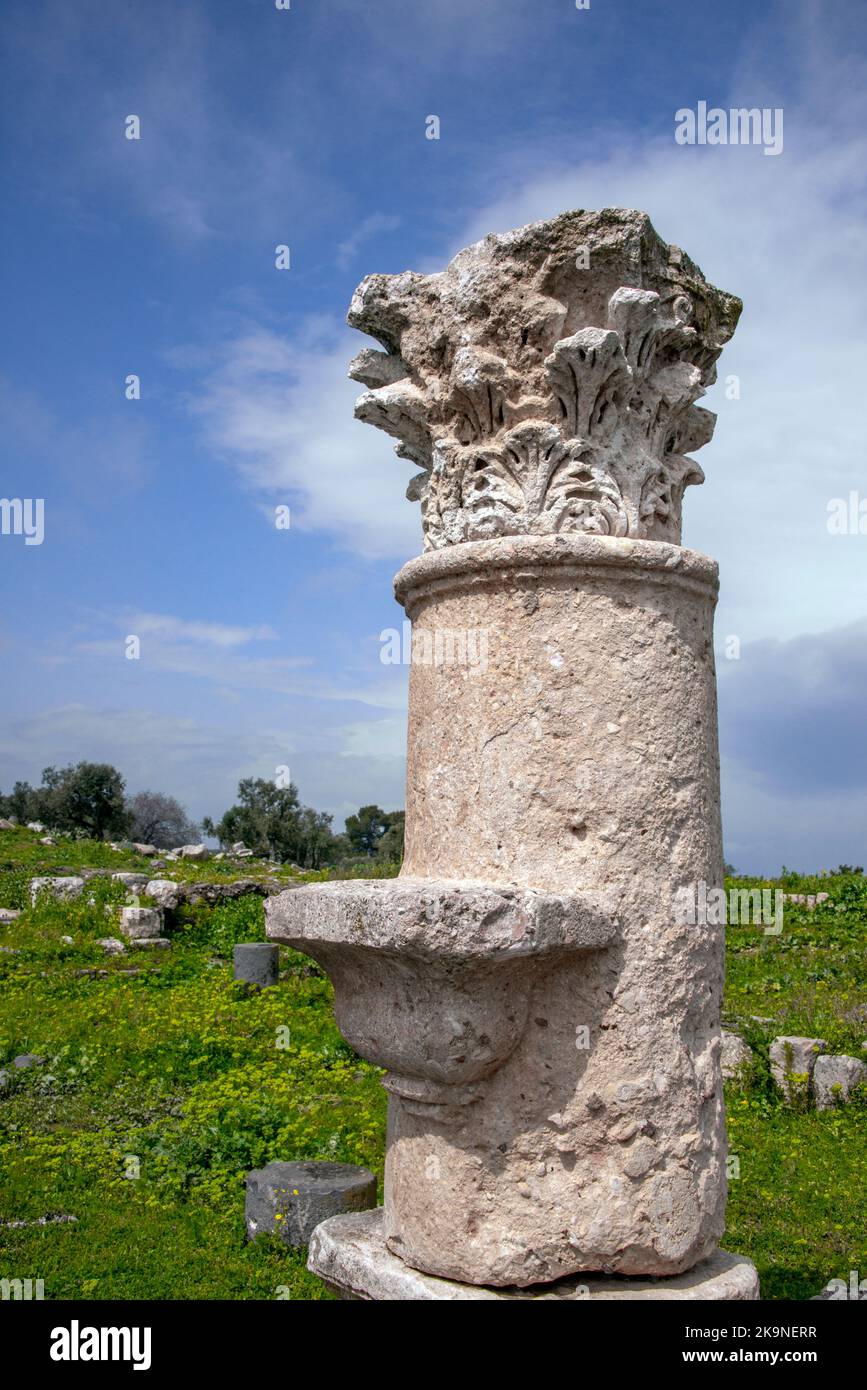 Capital part column architectural hi-res stock photography and images ...