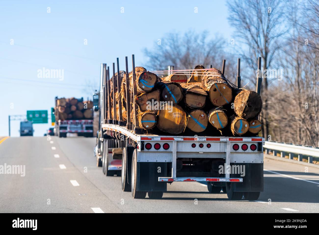 Industrial heavy duty truck trailer hauler delivering wood lumber on highway road in Lynchburg, Virginia rural countryside Stock Photo