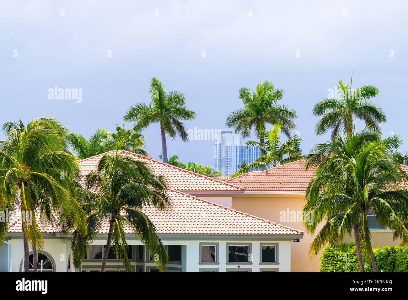 Miami, Florida real estate property modern mansion luxury villa house in Hollywood by Hallandale beach Three Islands with palm trees on summer day Stock Photo