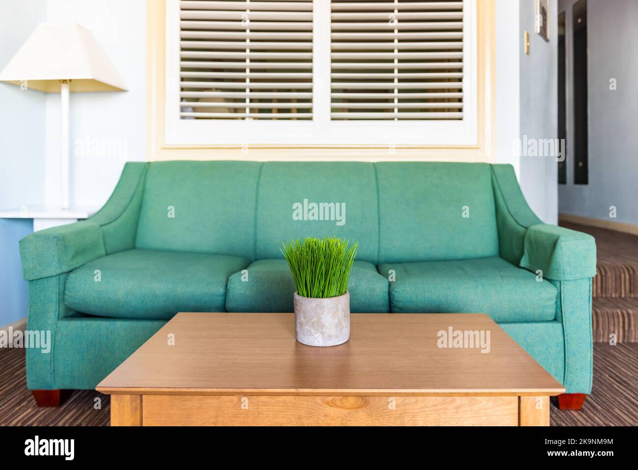 Green potted plant in pot on wooden table desk and couch sofa in living room with white wall and lamp in minimalist staged model house interior Stock Photo