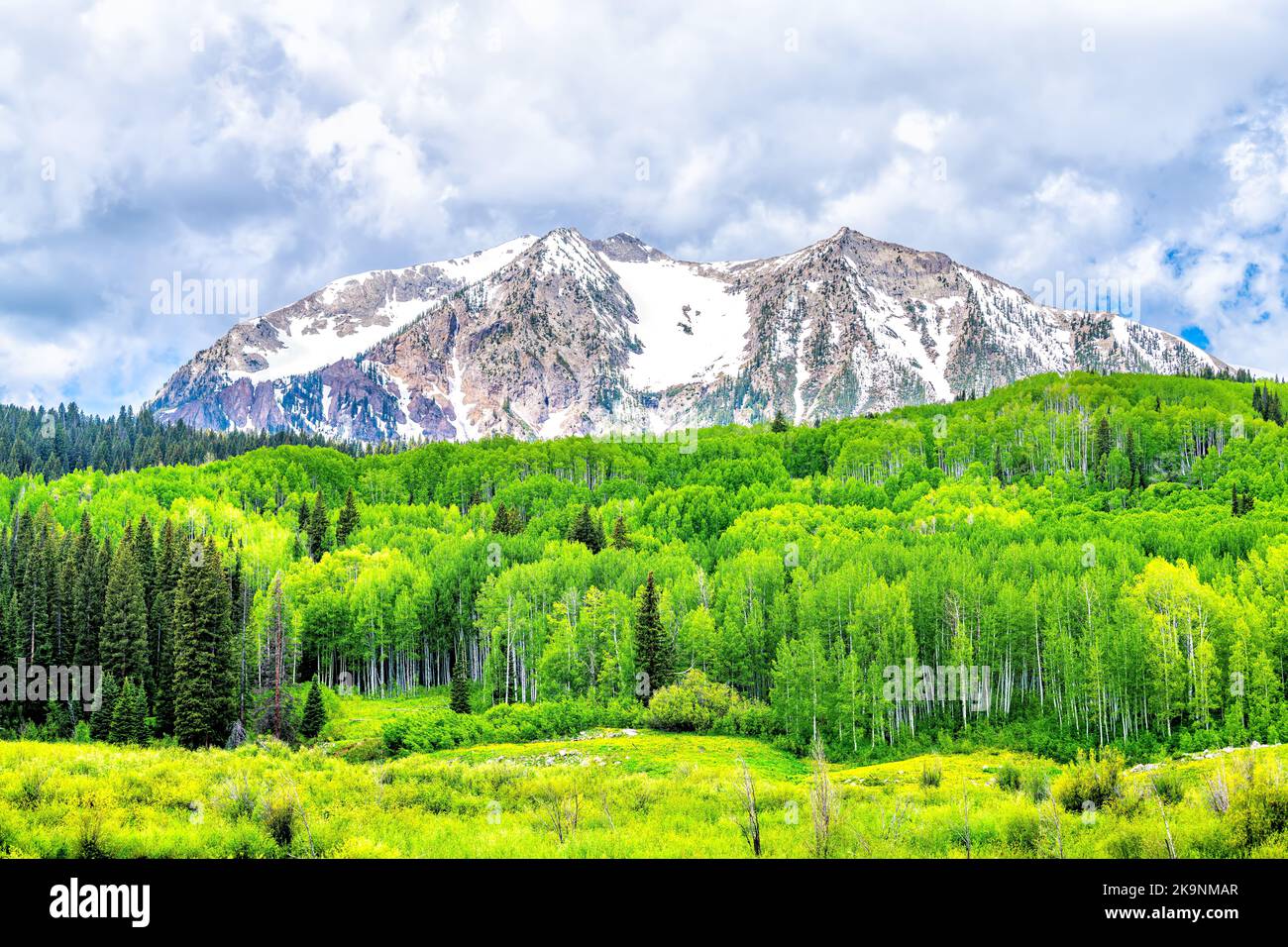 Crested Butte green pine trees view at Kebler Pass with snow peak of
