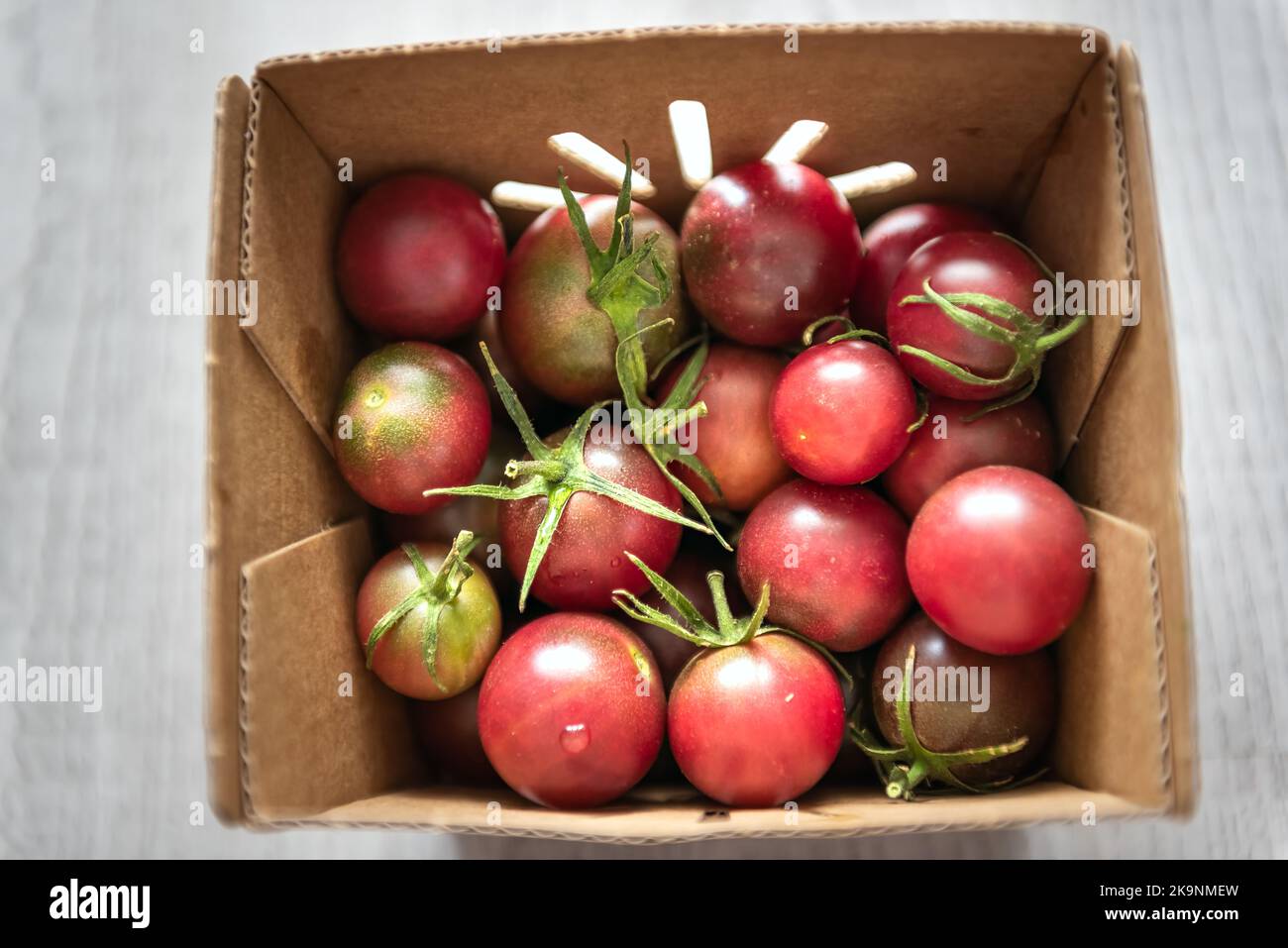 Cherry tomato variety of heirloom purple red green tomatoes group macro
