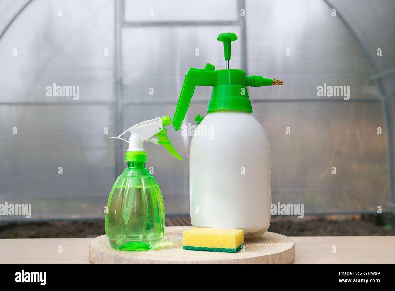 Greenhouse cleaning products on table, still life. Cleaning and washing inside of the empty greenhouse with an antibacterial cleaner liquid. Stock Photo