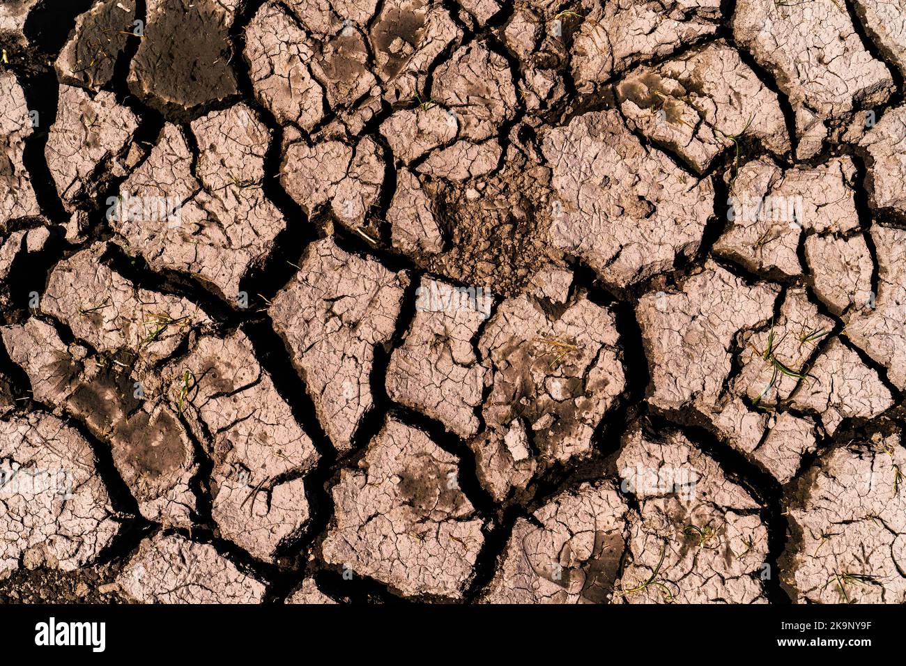 Drought land texture. Dry and cracked land due to lack of rain. Effects of climate change such as desertification and droughts. Global warming and gre Stock Photo