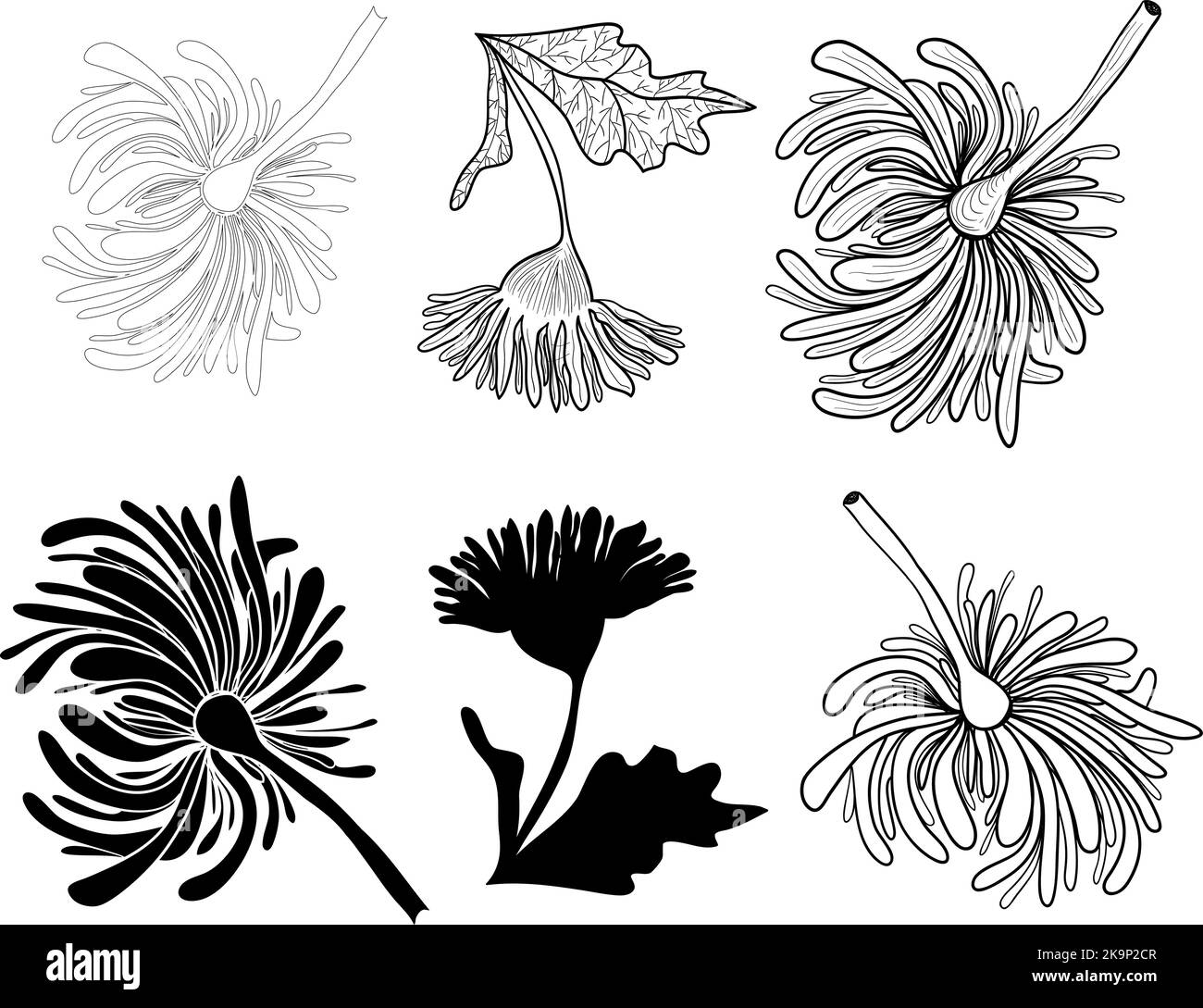 Dynamic wallpapers Black and White Stock Photos & Images - Alamy