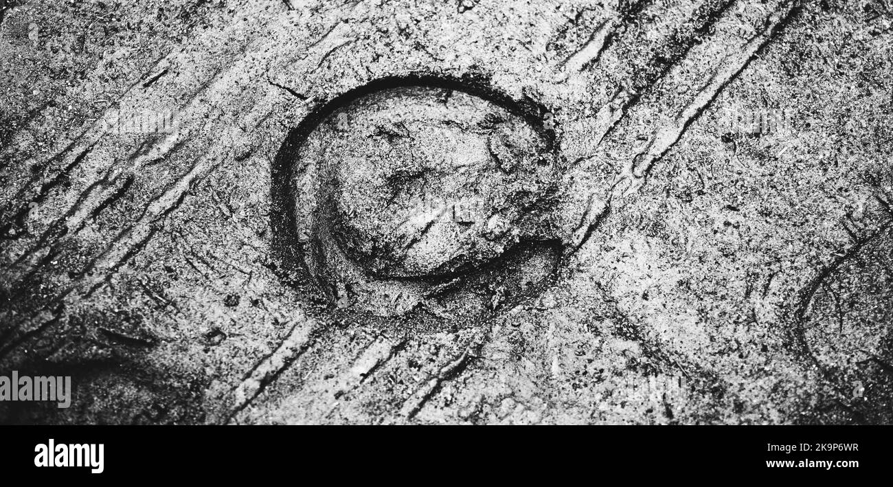 A black-and-white image of a horse's shod hoof print on wet sand. Livestock and agriculture. Horseshoe Stock Photo