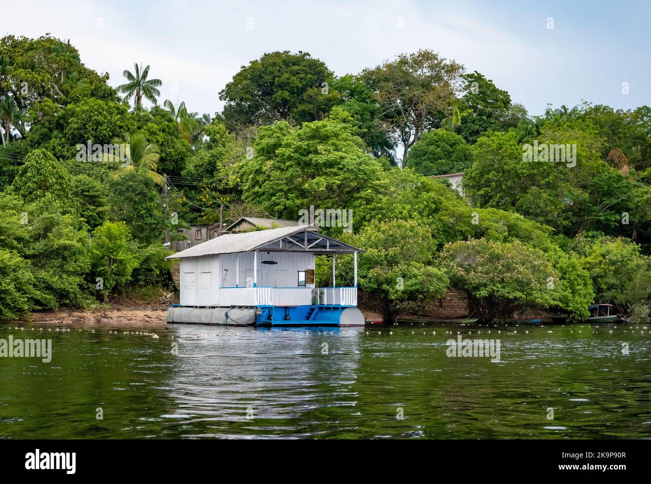A house on a floater along Rio Negro, to combat seasonal flooding