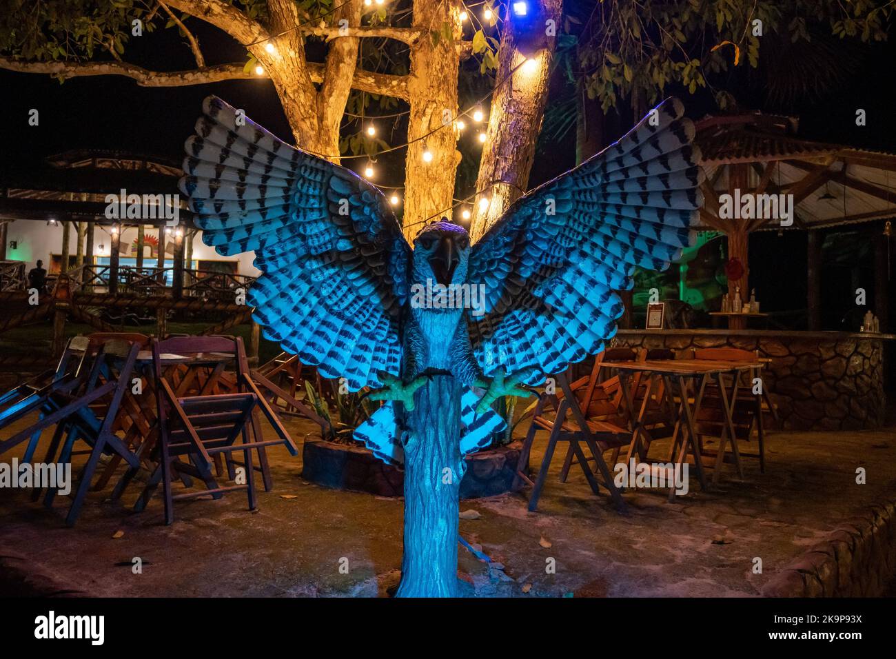 Picture of Region Amazonas Decoracion - Pinterest