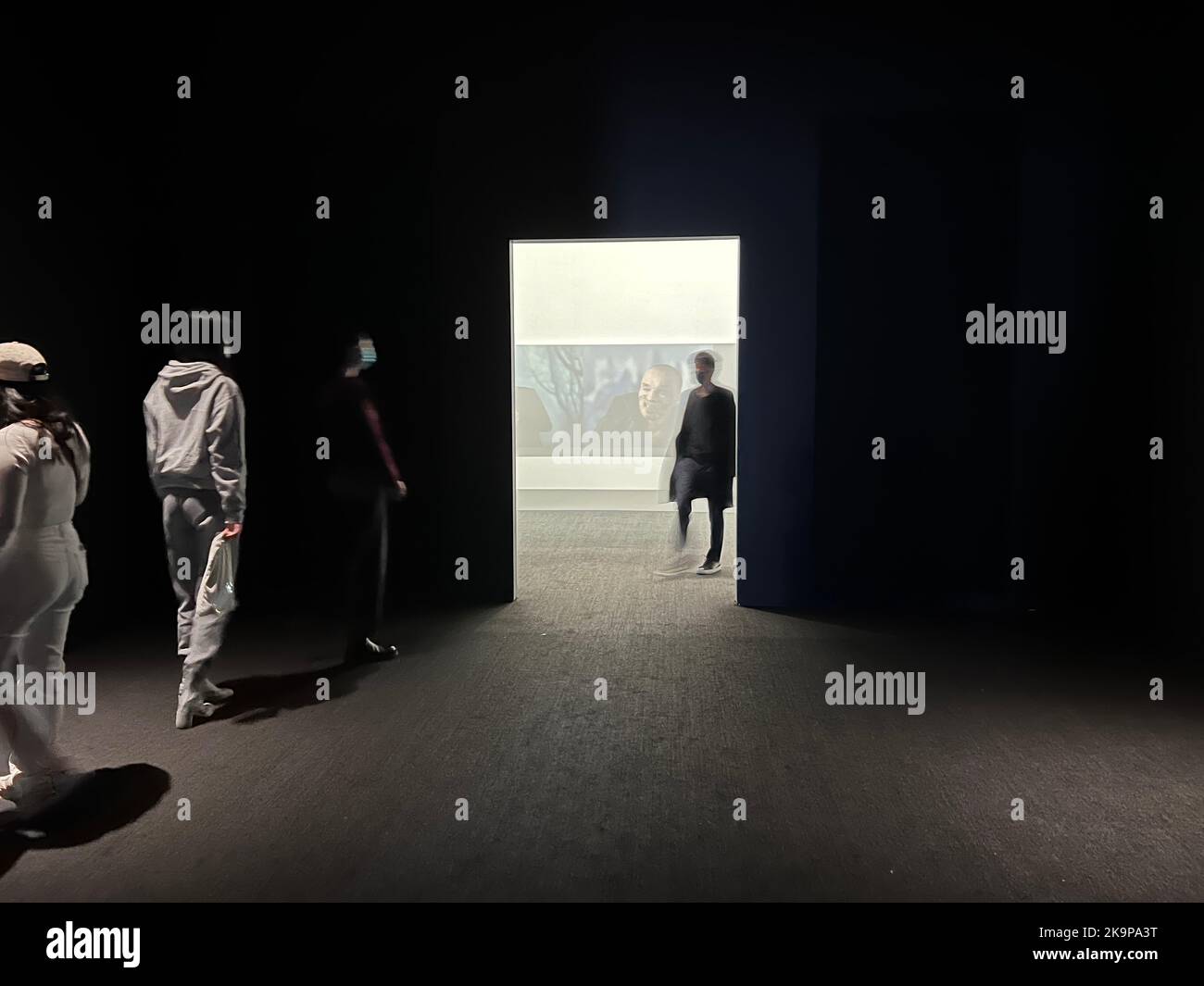 The Whitney Biennial is a biennial exhibition of contemporary American art, typically by young