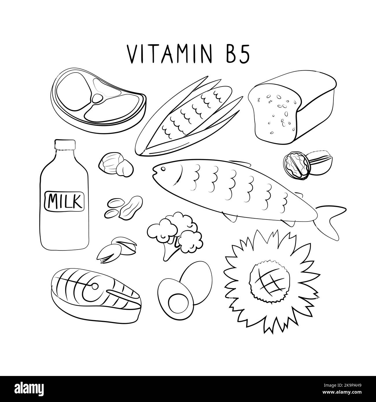 Vitamin B5 Pantothenic acid. Groups of healthy products containing vitamins. Set of fruits, vegetables, meats, fish and dairy Stock Vector