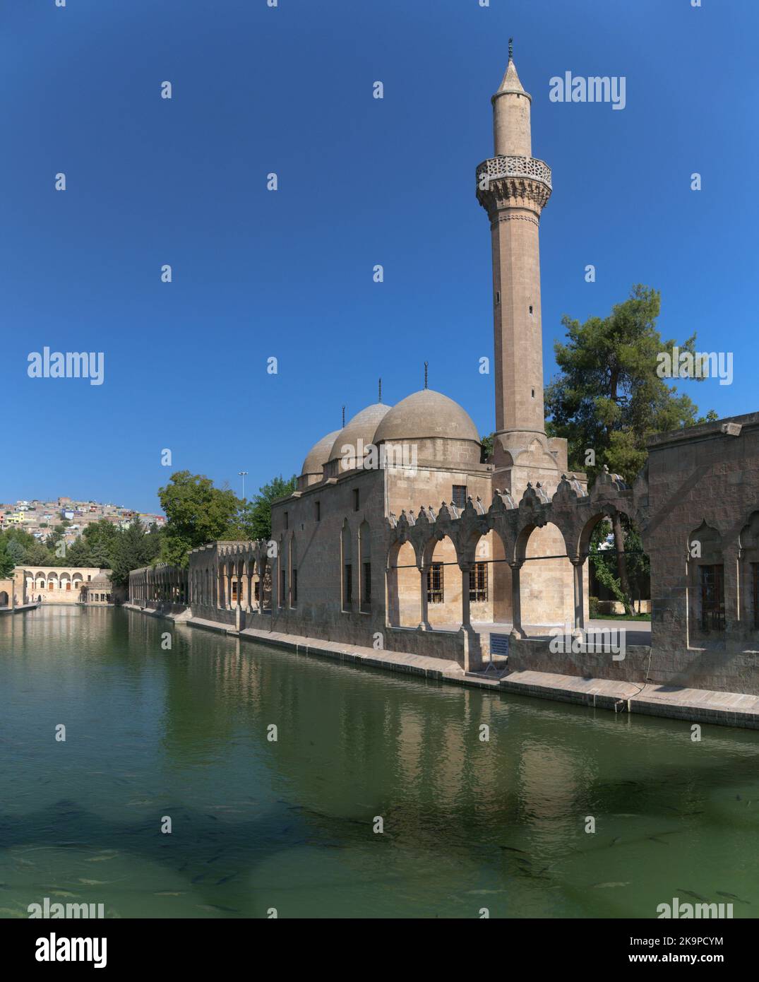 Pool of Sacred Fish in the courtyard of the Halil-ur-Rahman Mosque in Urfa, Turkey. The pool is known also as the Pool of Abraham Stock Photo