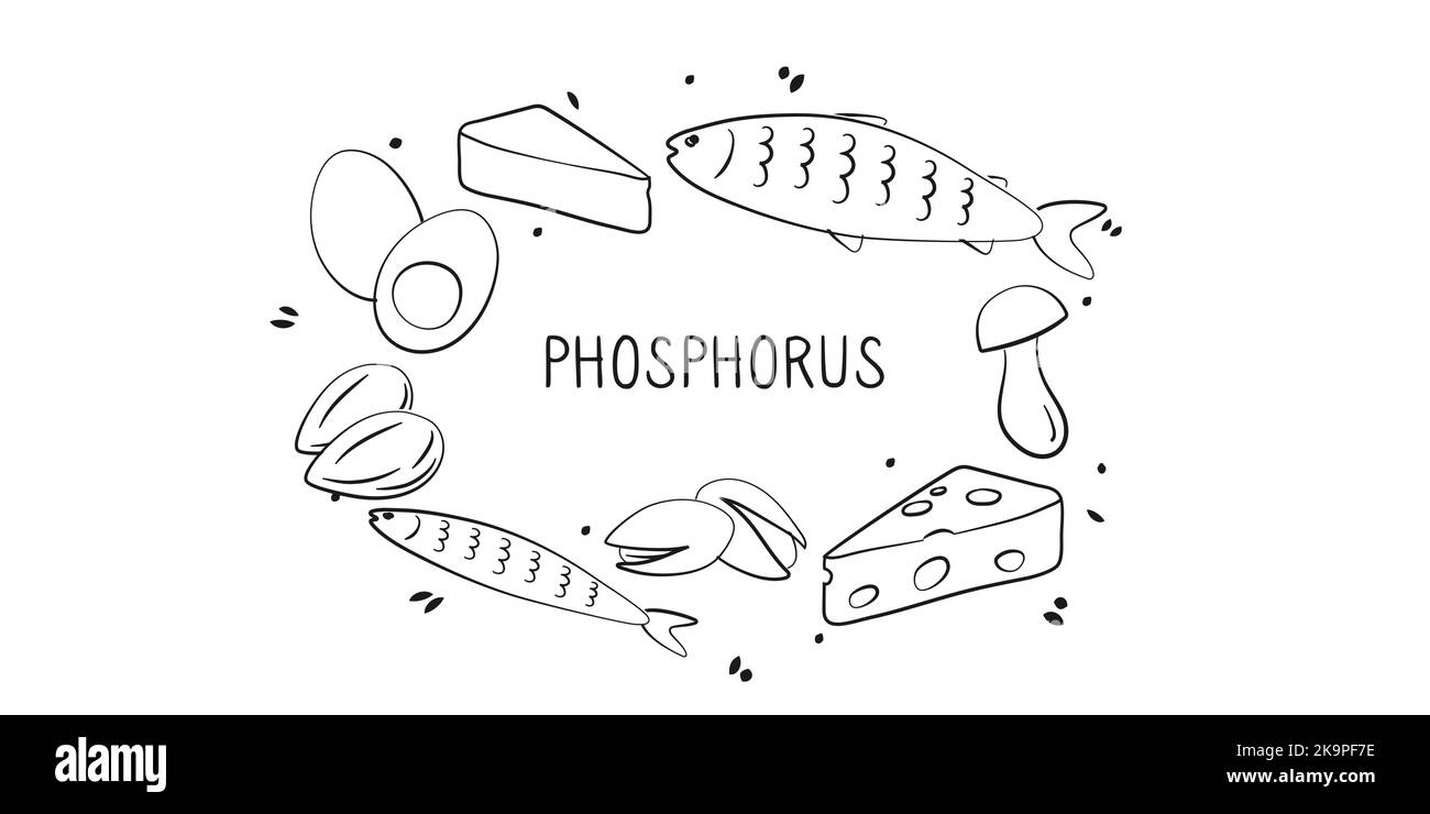 Phosphorus-containing food. Groups of healthy products containing vitamins and minerals. Set of fruits, vegetables, meats, fish and dairy. Stock Vector