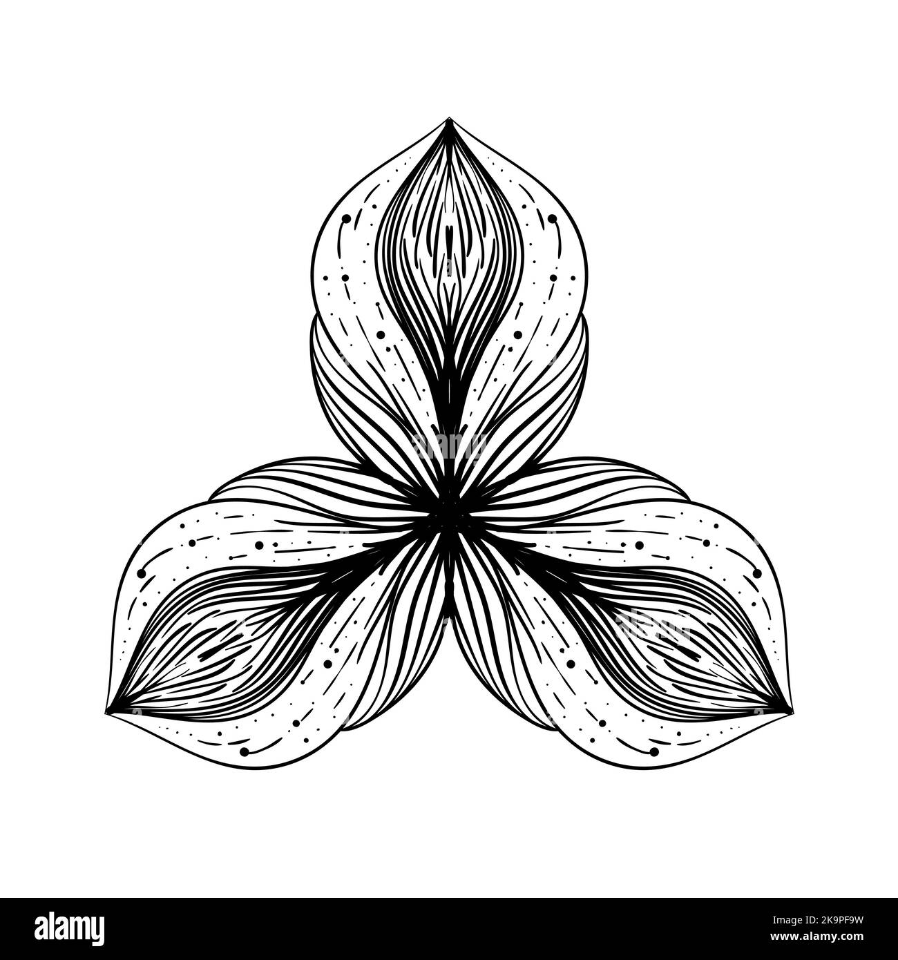 Floral element on white background. Hand drawn botanical detail. Stock Vector