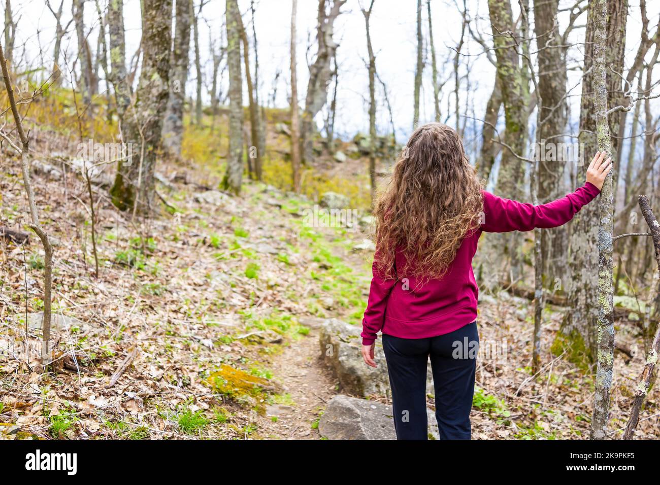 One lonely woman standing leaning against bare tree trunk in forest on Devil's knob hiking woods trail in Wintergreen ski resort, Virginia Stock Photo