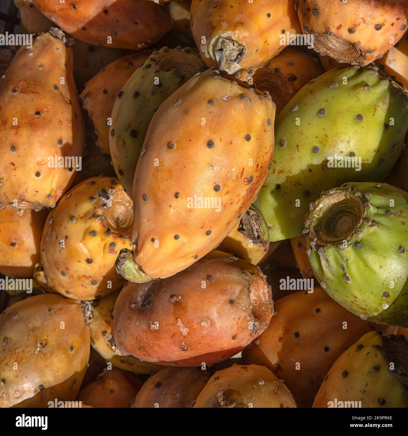 Closeup of fresh Prickly pear cactus fruit on a stall at a food market