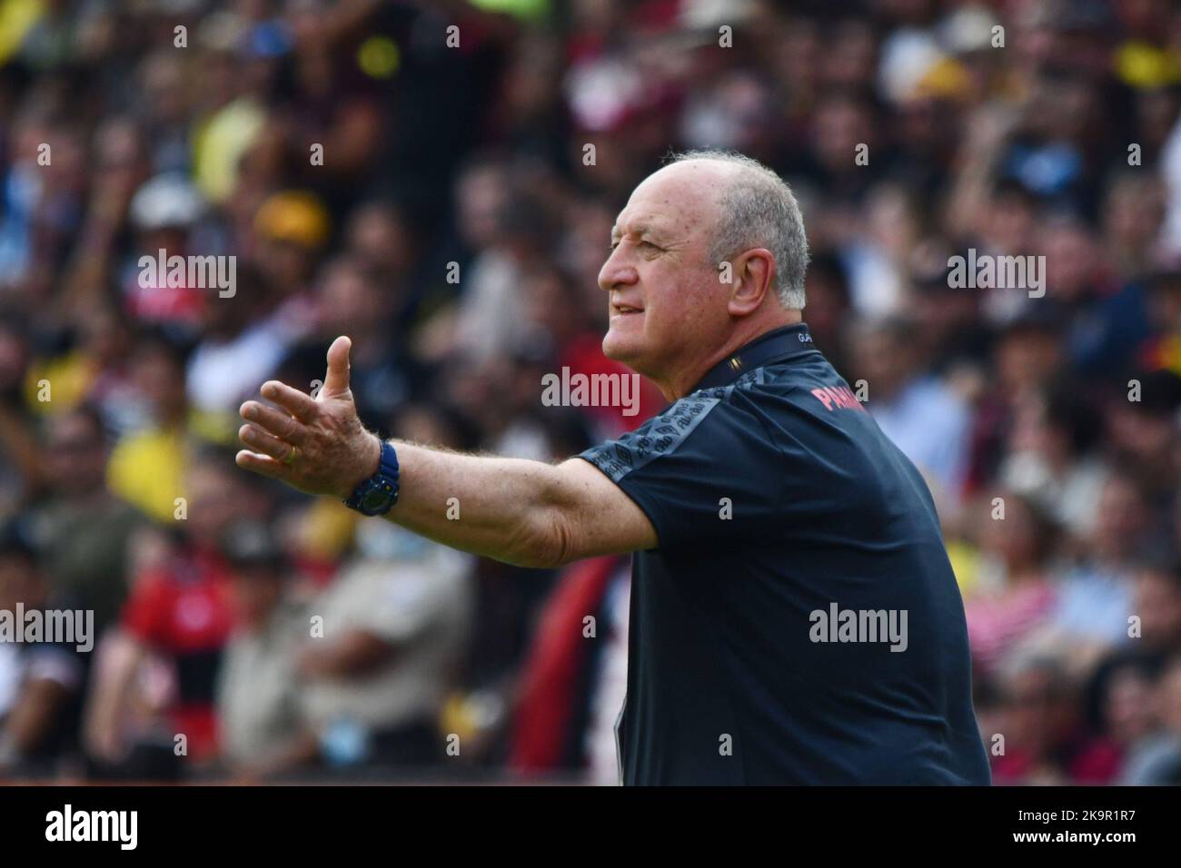 Luiz felipe scolari hi-res stock photography and images - Alamy