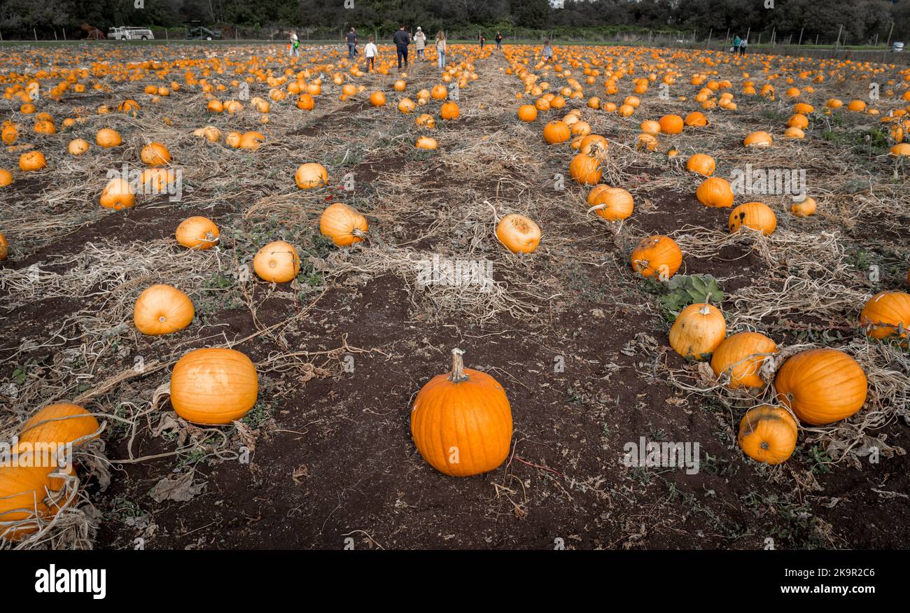 Organic farming canada hi-res stock photography and images - Alamy