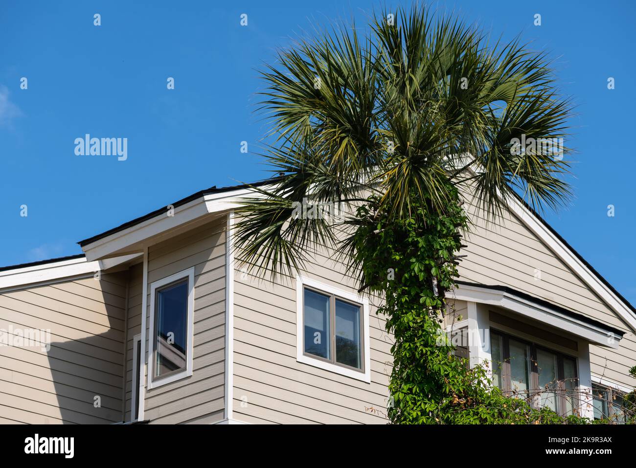 Luxury ocean view of luxury condos at sunrise, Wild Dunes Resort, Isle ...