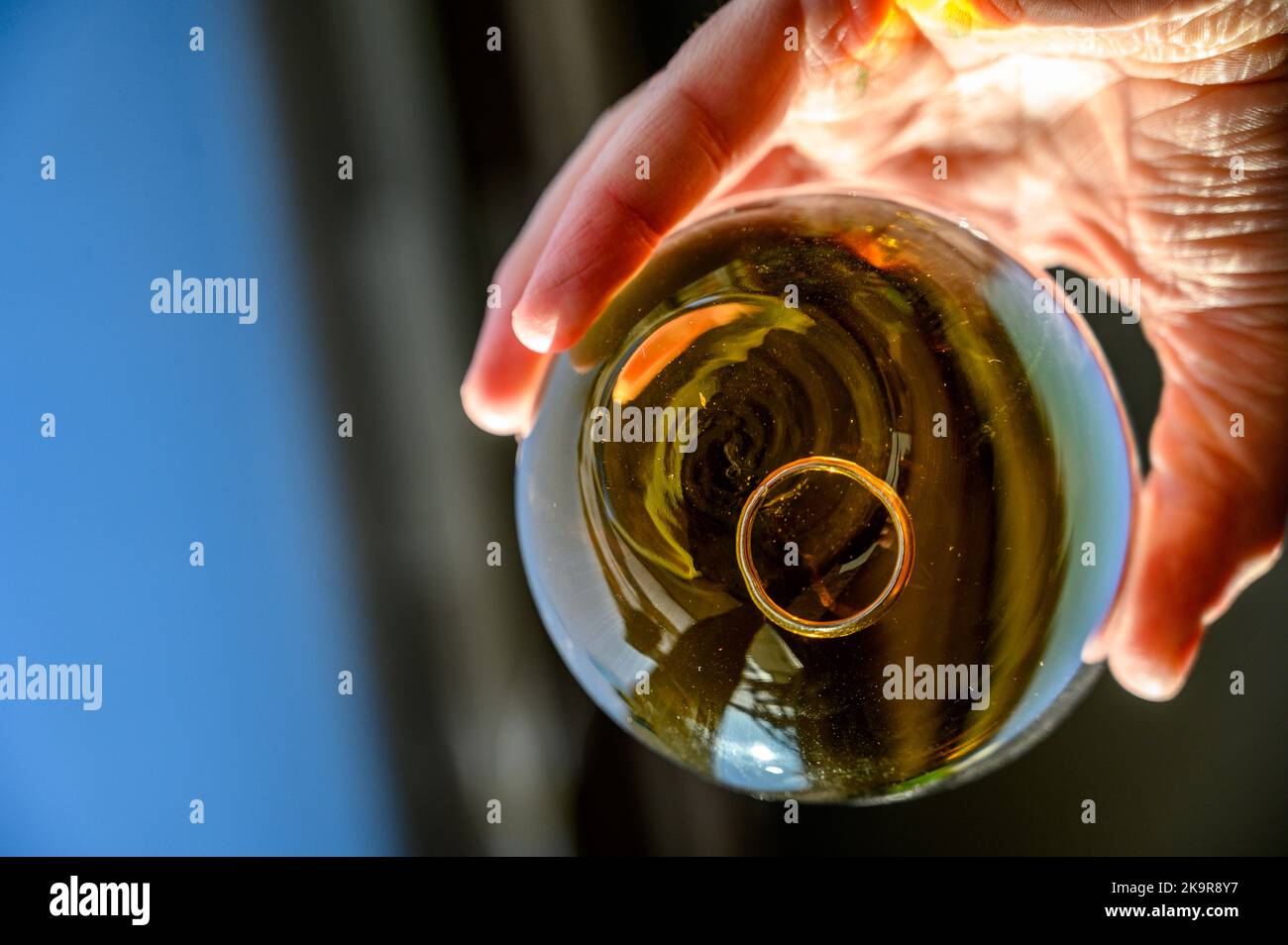 Hand Color Liquid Caucasian hand holding a glass of amber colored liquid with a wedding ...