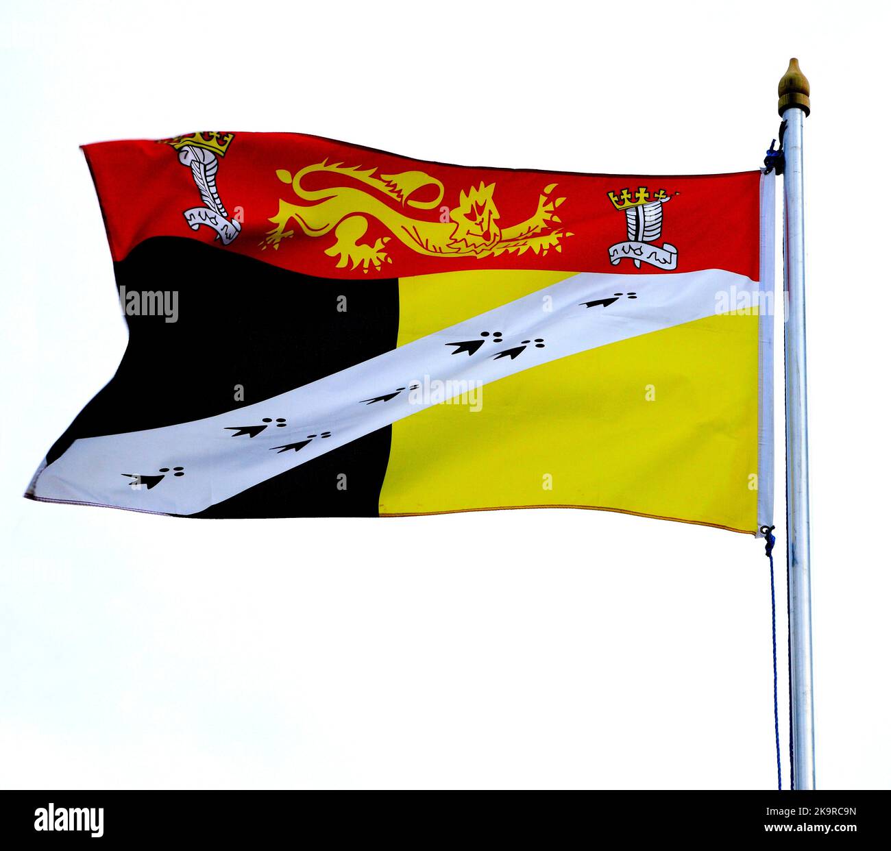 Norfolk County Flag, flying, flagpole, Norfolk, England, UK Stock Photo
