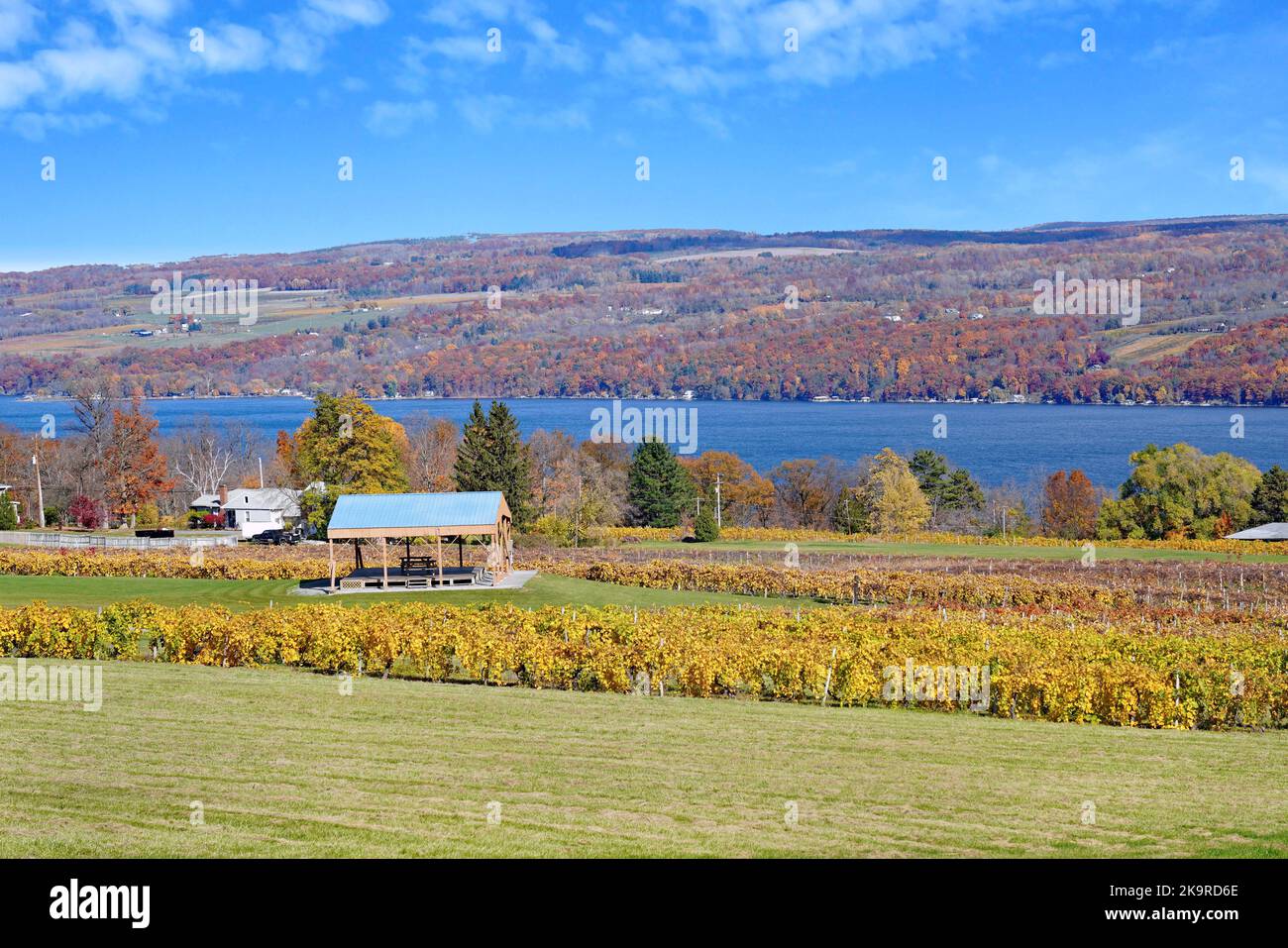 Seneca Lake in the Finger Lakes, with leaves on grape vines changing to