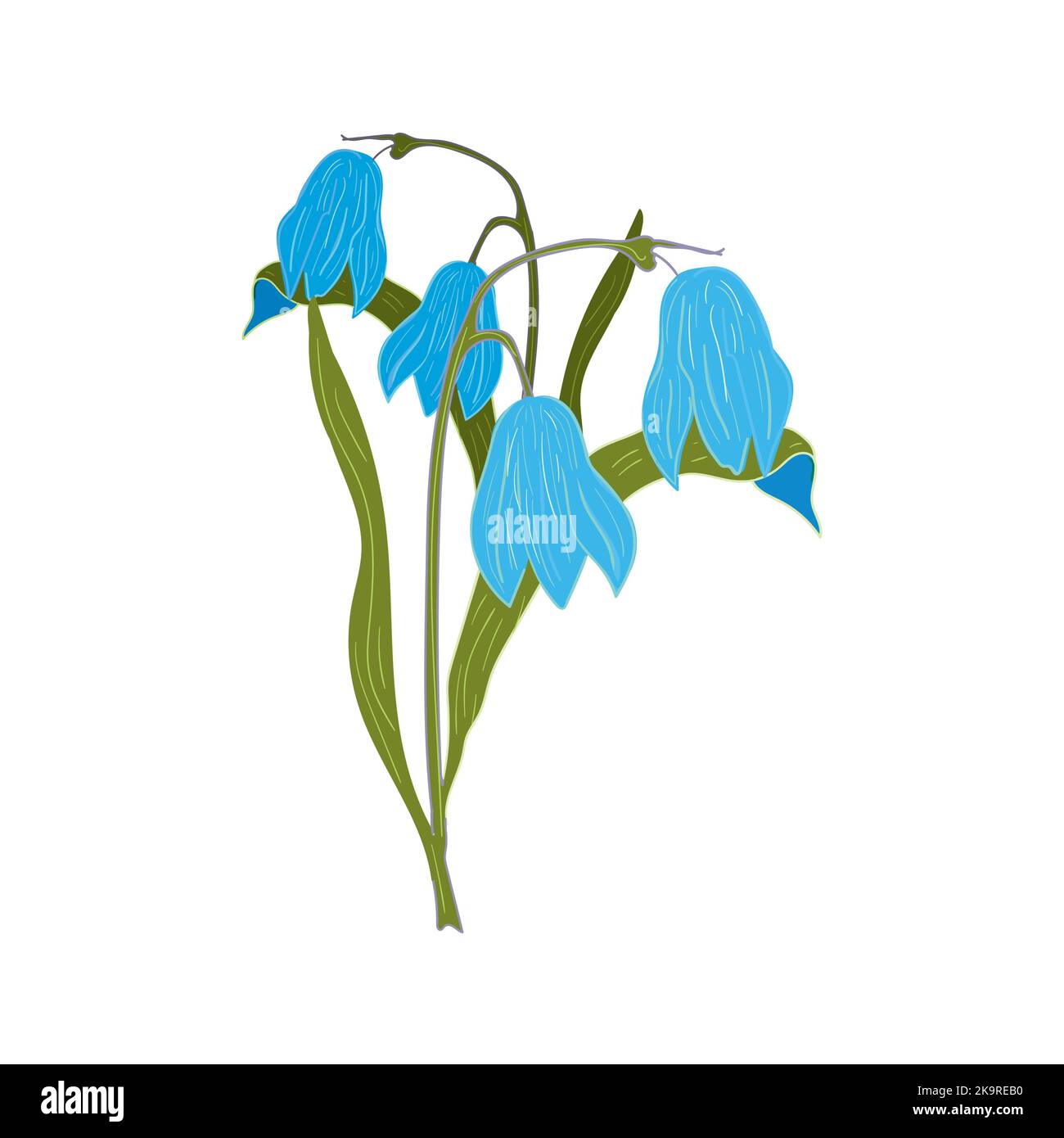 Illustration of blue spring flowers on a white background Stock Vector