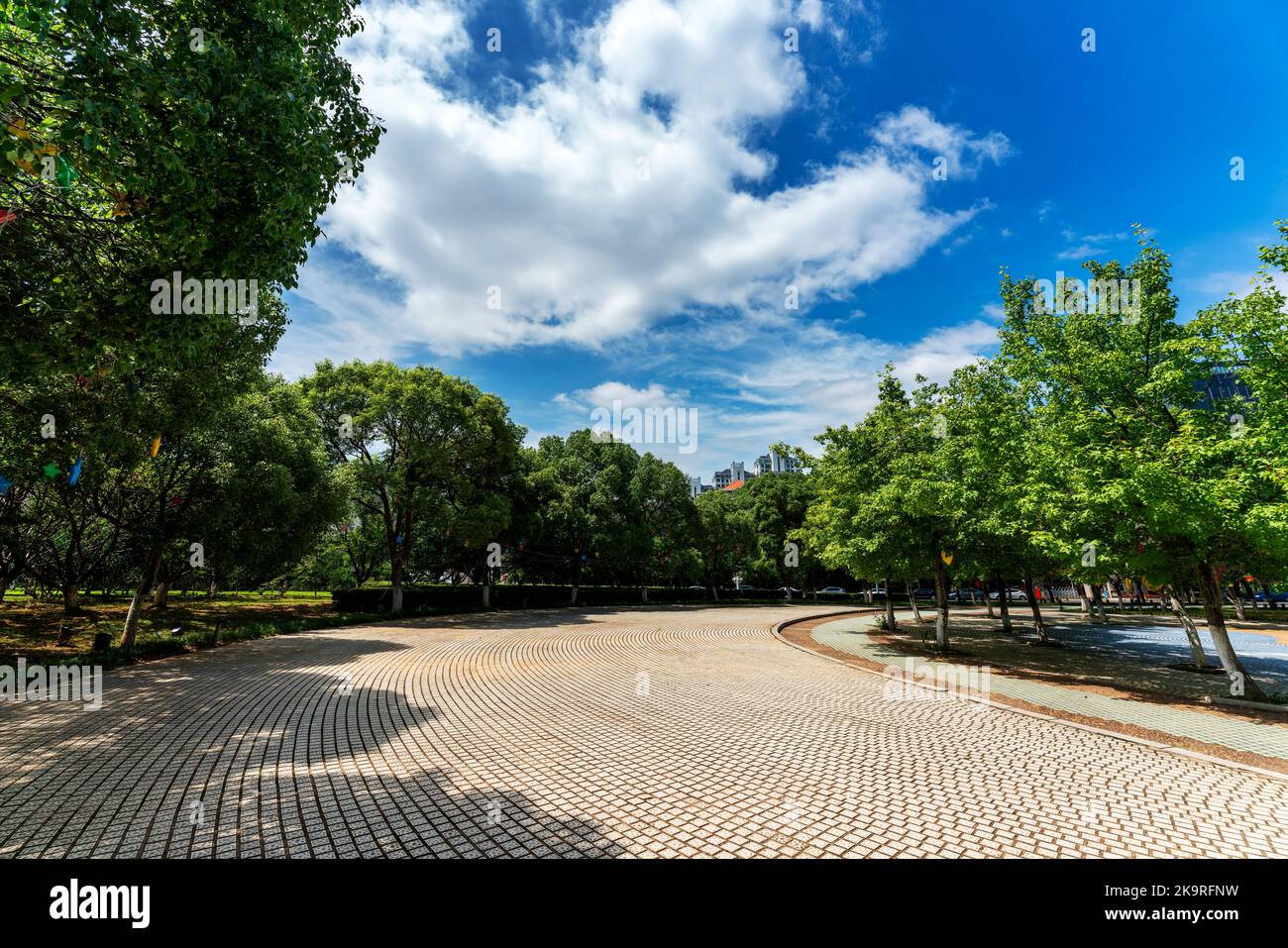 Empty square floor and green forest natural landscape Stock Photo