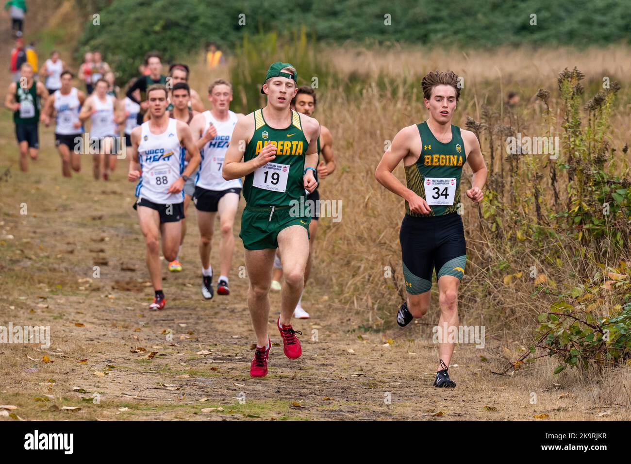 Abbotsford, Canada. 29th Oct, 2022. Pictured left to right, Leif Poughnet of Alberta Golden Bears and Pandas and Kaelen Kolb of Regina Cougars compete in Men's race at 2022 Canada West Cross Country Championships. Credit: Zhengmu Wang/Alamy Live News Stock Photo