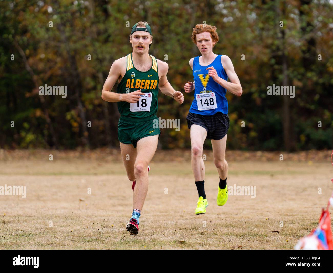 Abbotsford, Canada. 29th Oct, 2022. Pictured left to right, Cassian Murray-White of Alberta Golden Bears and Pandas and Jaxon Kuchar of Victoria Vikes compete in Men's race at 2022 Canada West Cross Country Championships. Credit: Zhengmu Wang/Alamy Live News Stock Photo