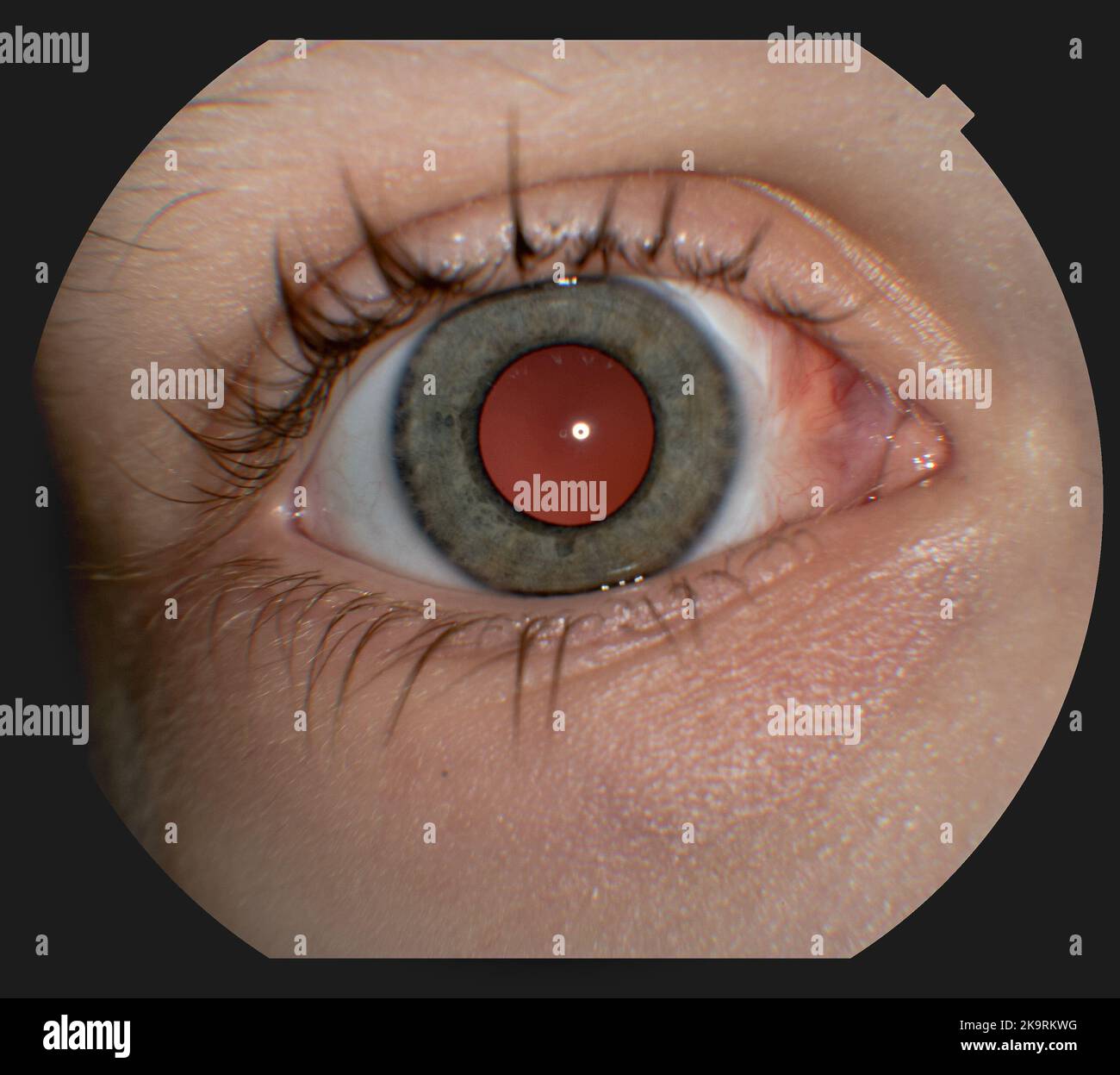 View of Human eye up close Stock Photo