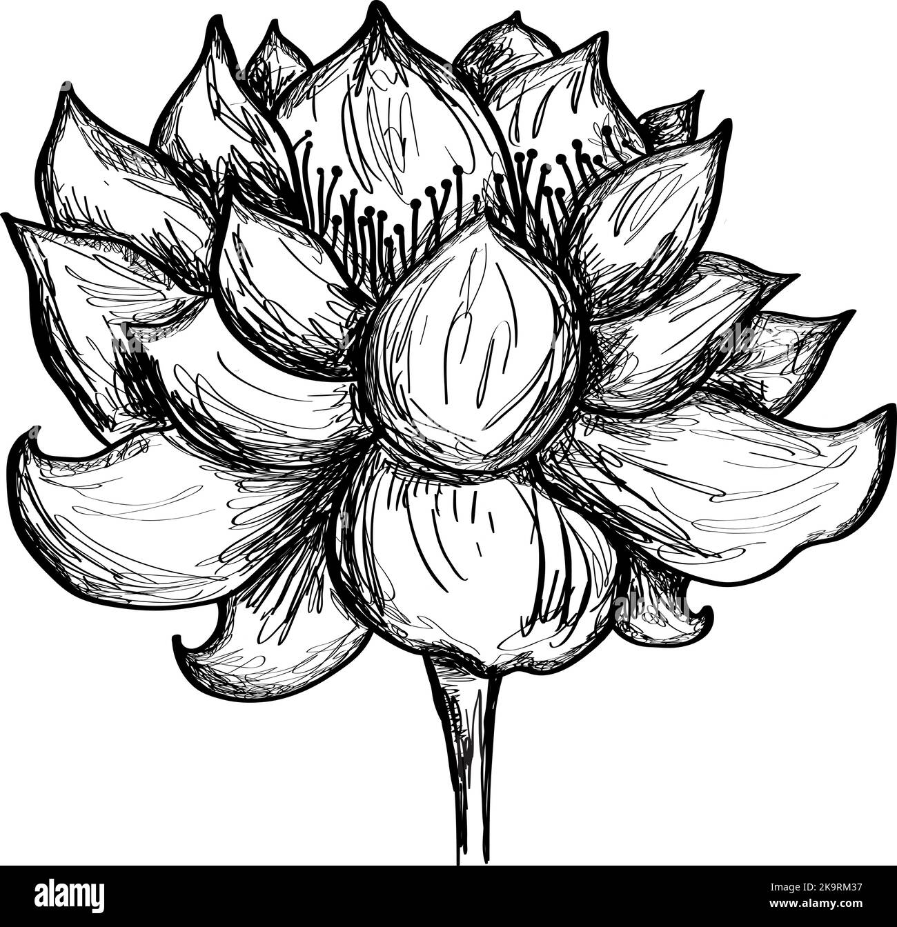 Stylized lotus flower. Vector illustration. Element for design Stock ...