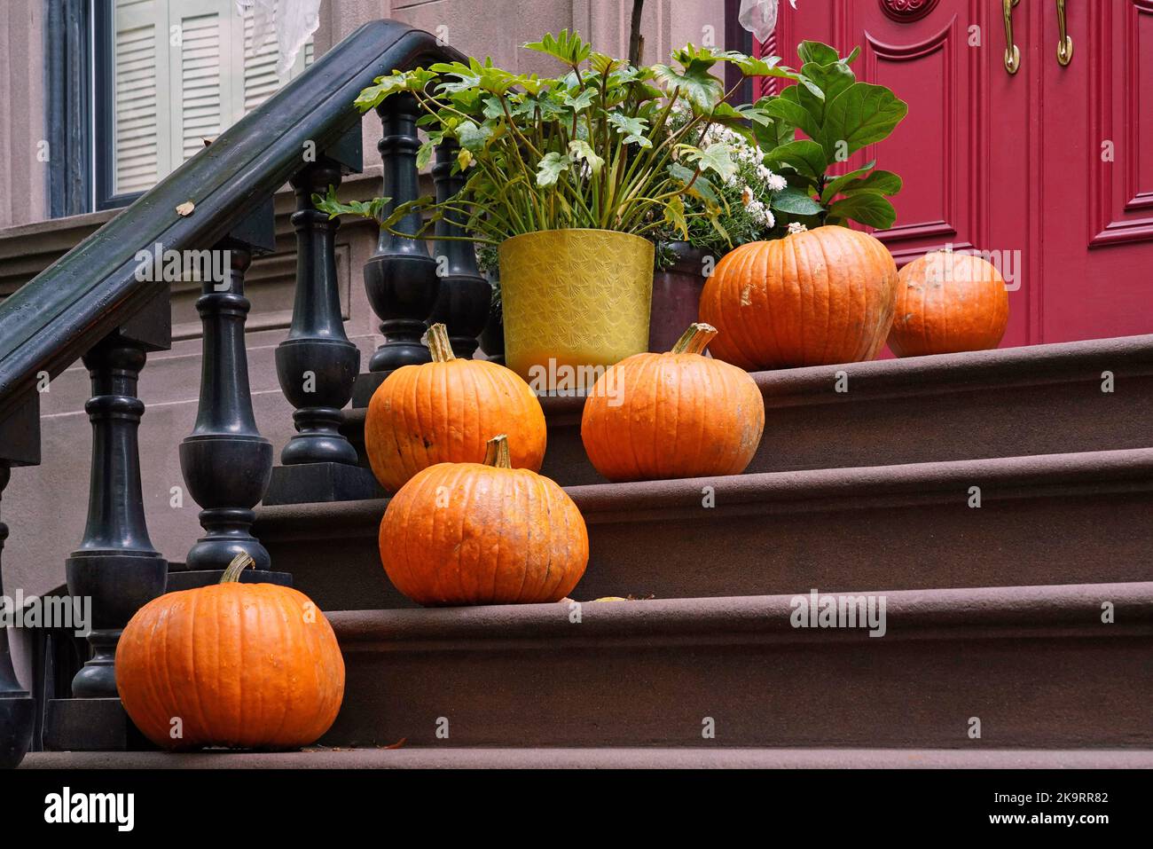 Front steps of house with pumpkins as Halloween or Thanksgiving decorations Stock Photo