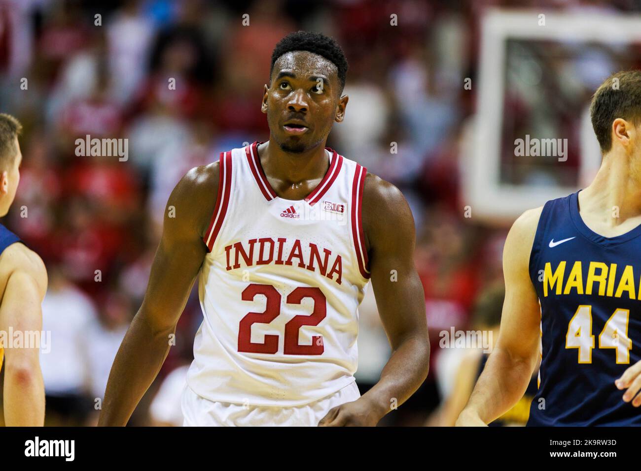 Indiana Hoosiers Adidas White Men's Basketball Student Athlete Jersey #11 CJ Gunn / Large
