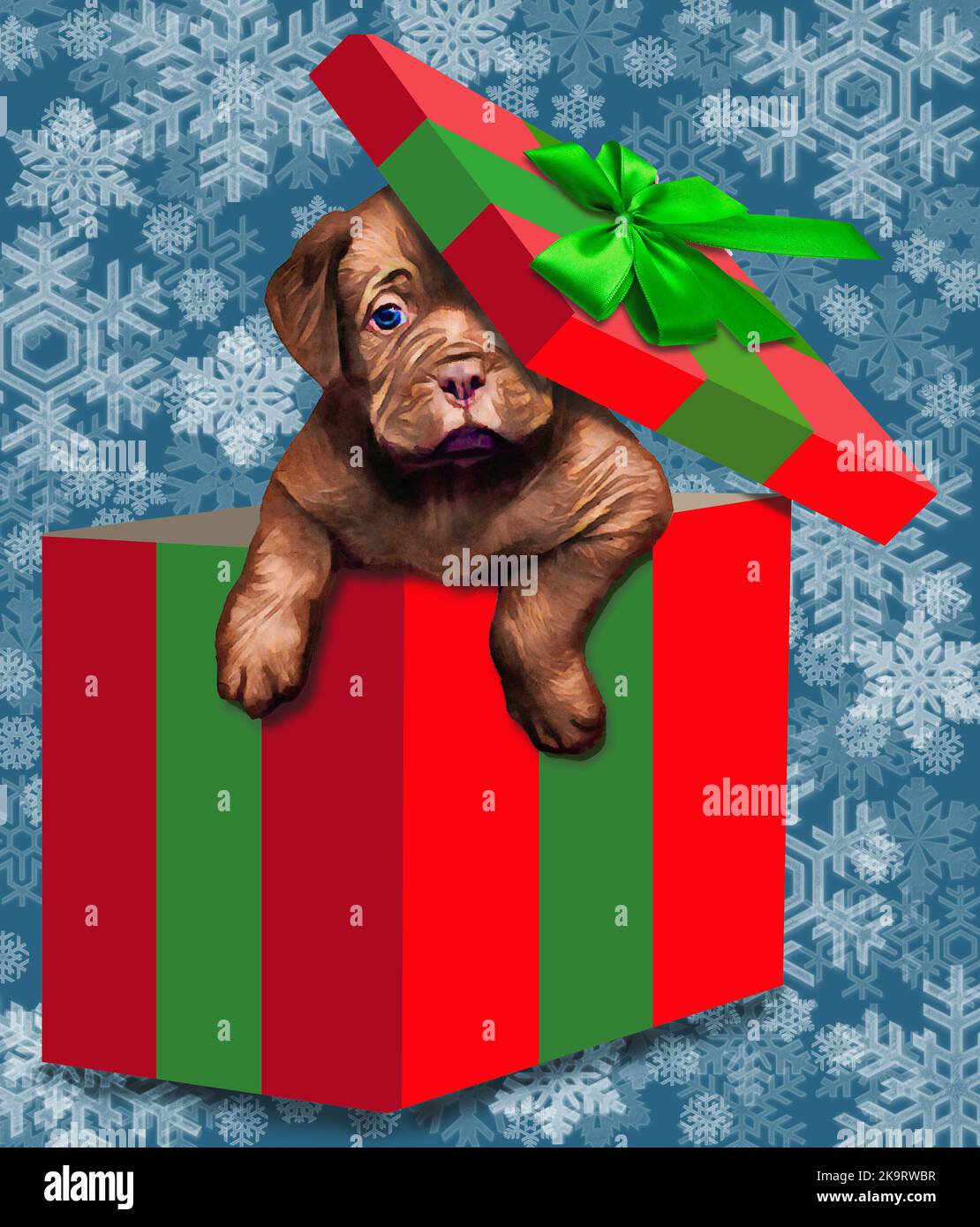 A cute puppy dog pops out of a Christmas gift box in a 3-d illustration