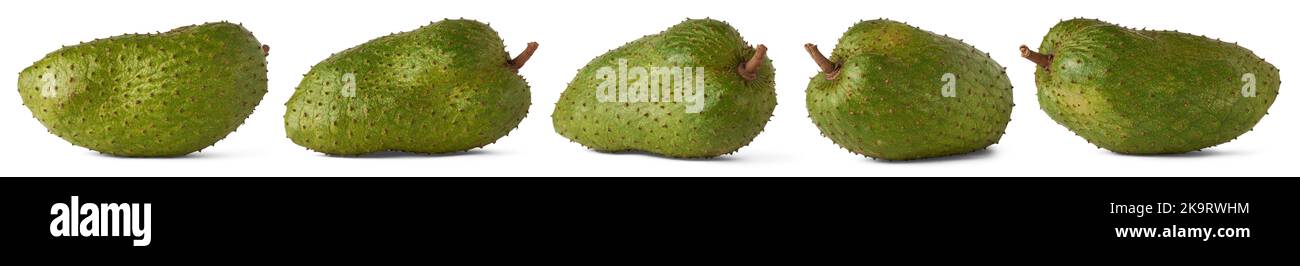 cherimoya, annona muricata, irregular and oblong shaped large edible fruit also known as custard apple or soursop, sweet taste tropical fruit on white Stock Photo
