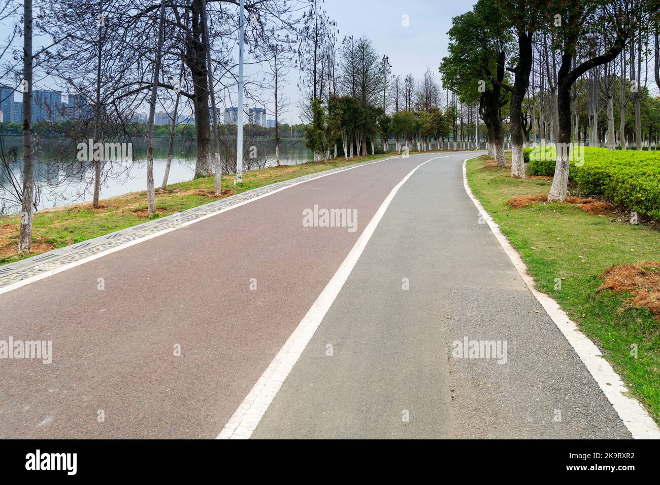 Walking path in forest. Walking path in woods Stock Photo - Alamy