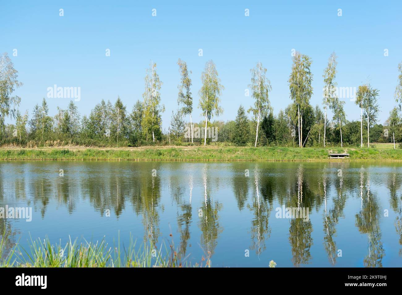 landscape with trees that are reflected in the water Stock Photo - Alamy