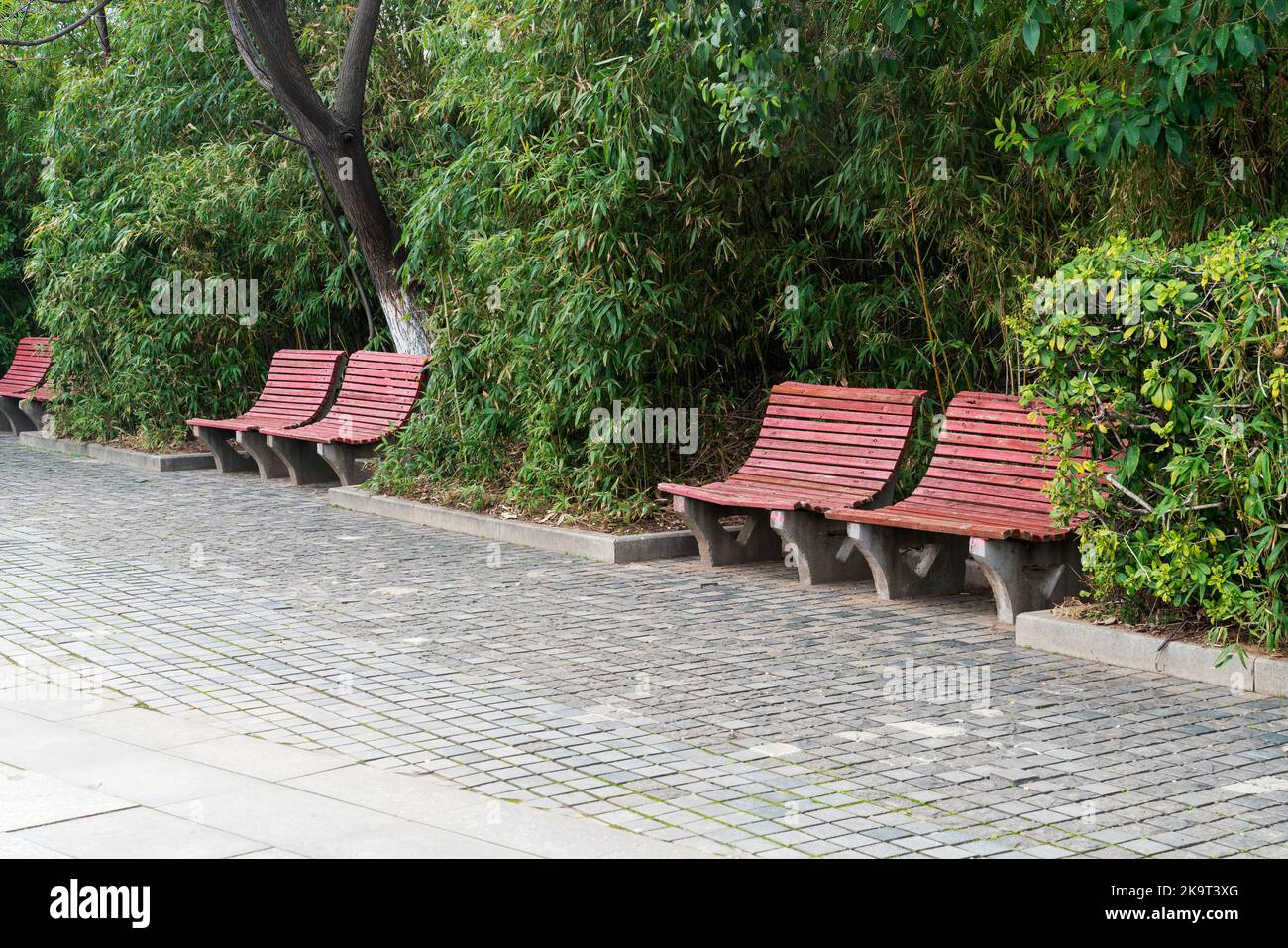 Wooden bench in the city park Stock Photo - Alamy