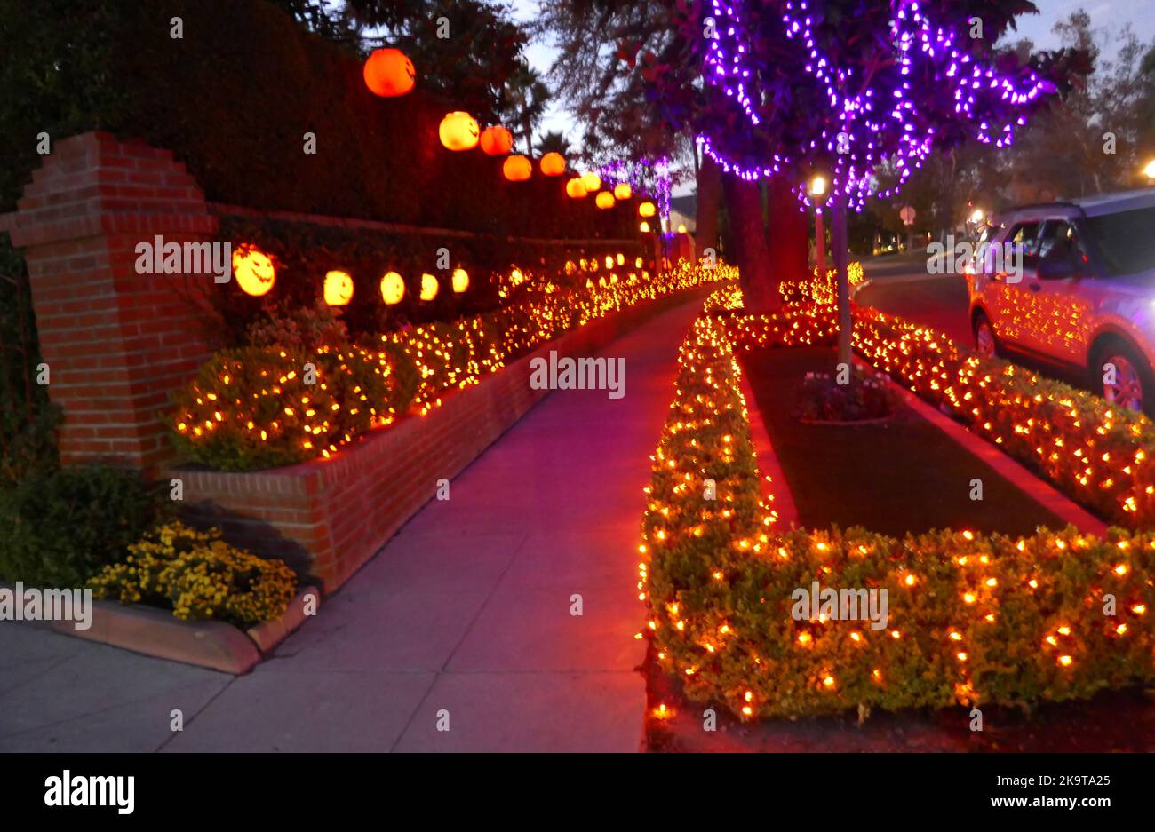 Toluca Lake, California, USA 28th October 2022 Halloween Pumpkins